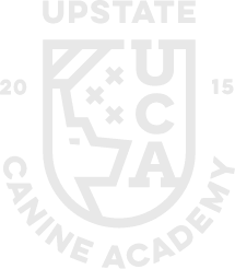 Upstate Canine Academy