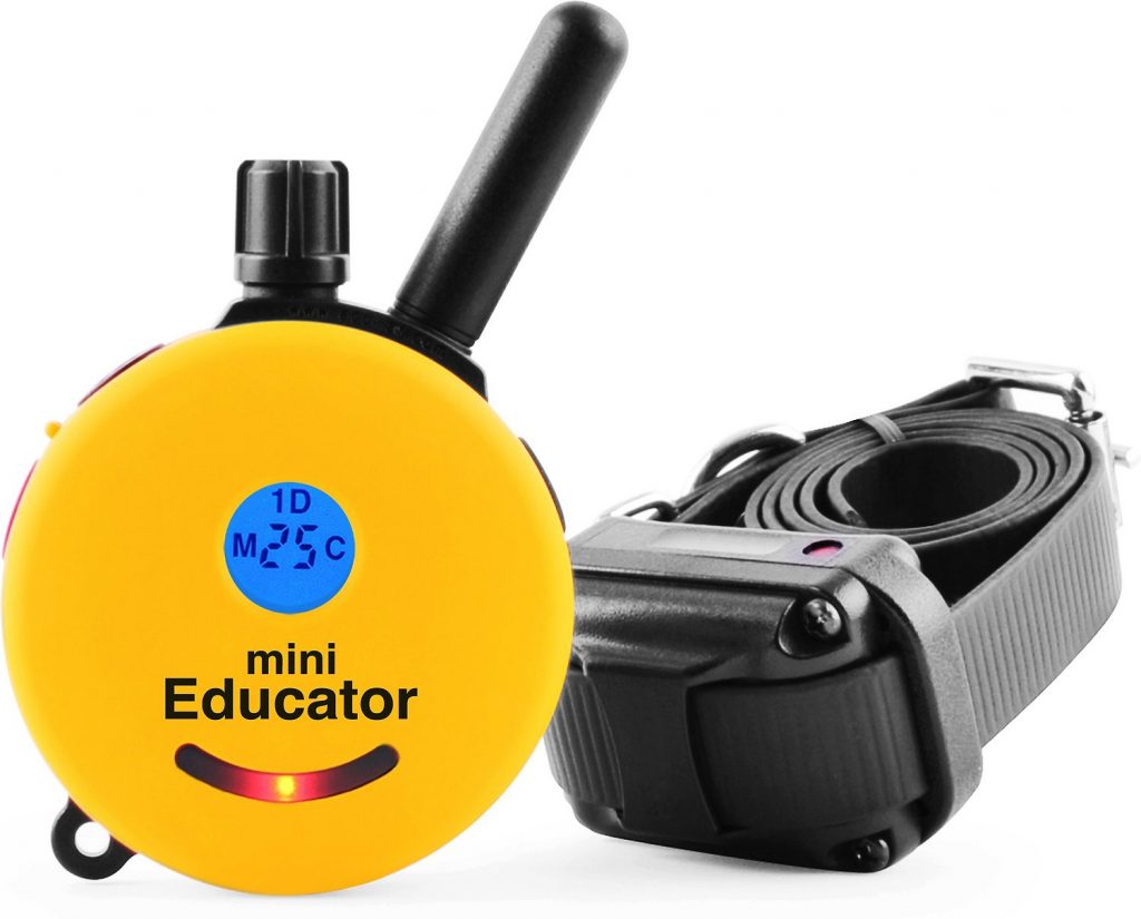 mini educator e-collar