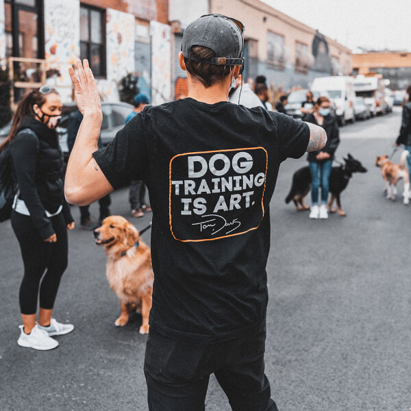 Dog training is art t-shirt