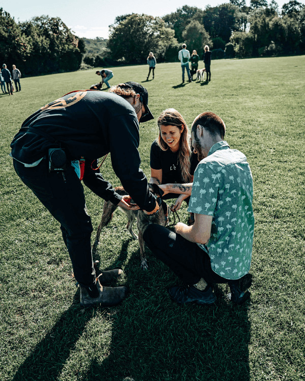 Trainer and couple petting dog