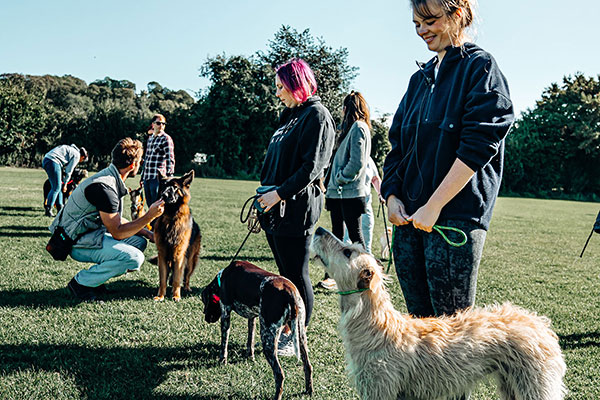 Group of people outside during dog training session