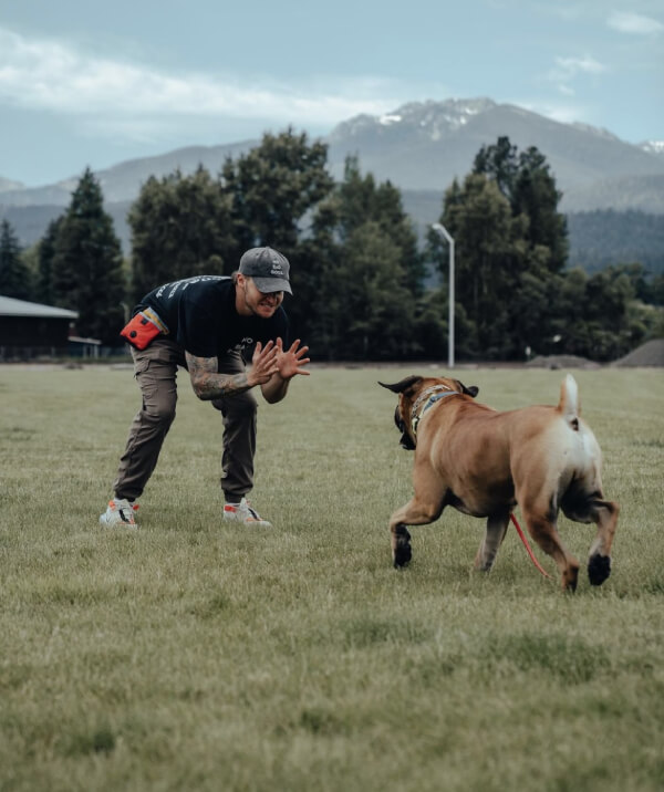 Off leash training in Montana