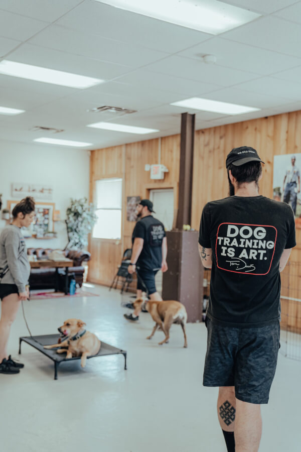 #1 Dog Training in Clifton Park NY | Upstate Canine Academy