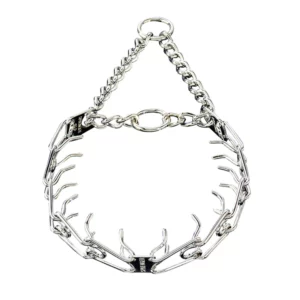 prong collar