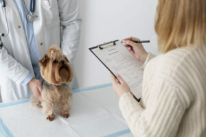 Dog's Health and Vaccinations